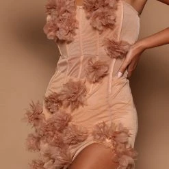 Fashion Nova Josefine Mesh Maxi Dress - Nude 8 Fashion Nova Josefine Mesh Maxi Dress - Nude -fashion nova dresses Shop 07 25 22Studio6 ME KP 11 06 52 14 A34959 Nude 8908 SG