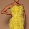 Fashion Nova Lorina Feather Mini Dress - Chartreuse -fashion nova dresses Shop 07 25 22Studio6 ME KP 14 21 45 38 GW22C1115 Chartreuse 9276 JB