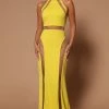 Fashion Nova Beth Mesh Cut Out Maxi Dress - Chartreuse 1 Fashion Nova Beth Mesh Cut Out Maxi Dress - Chartreuse -fashion nova dresses Shop 08 11 22Studio6 SN KP 10 52 29 12 GW22X2131 Chartreuse 1327 JB