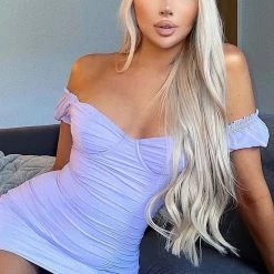 Fashion Nova Morgan Mesh Mini Dress - Lavender